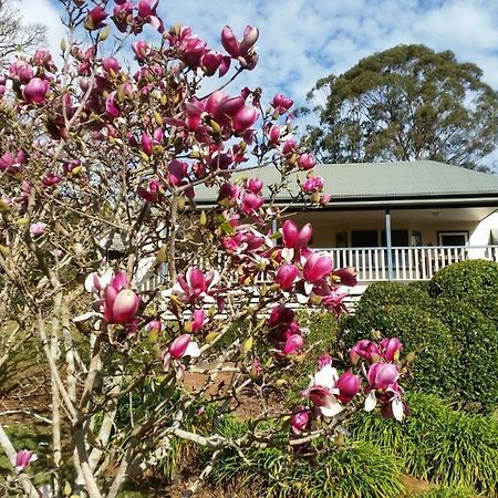 Villa The Paddocks Maleny Exterior foto